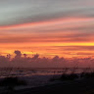 Meet your Posher, Jerry